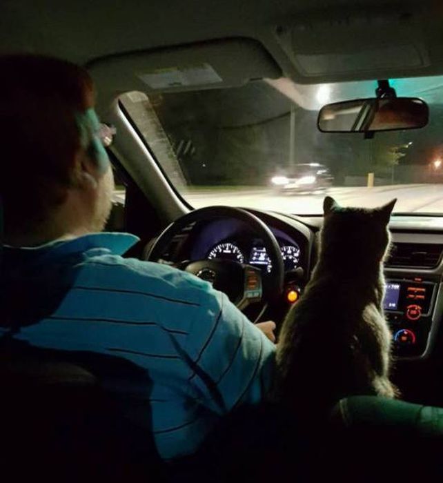 Дорожный юмор