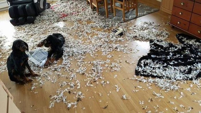 Что происходит?