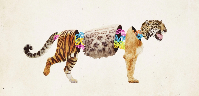 Ещё 12 самых невероятных научных теорий, которые взорвут ваш мозг Ещё 12 самых невероятных научных теорий, которые взорвут ваш мозг