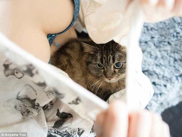 'Котики и груди': Японец выпустил эротический фотоальбом с терапевтическим эффектом