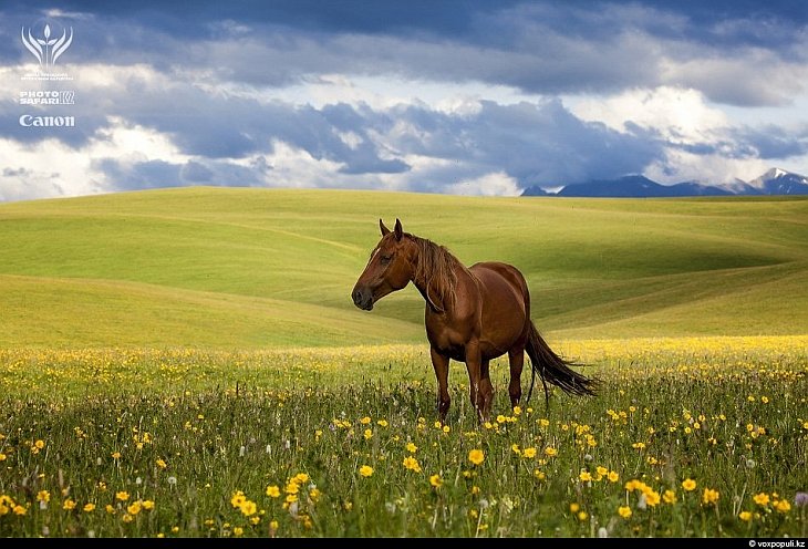 Неизвестный Казахстан Неизвестный Казахстан
