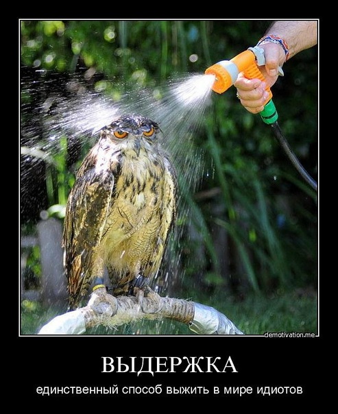 Демотиваторы (99 фото)