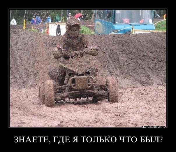 Демотиваторы (99 фото)