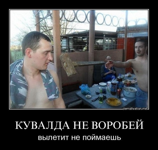 Демотиваторы (99 фото)