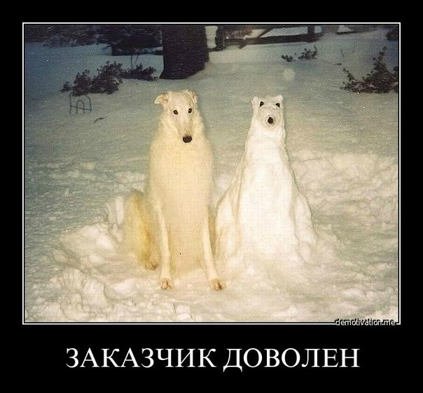 Демотиваторы (99 фото)