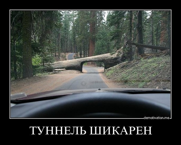 Демотиваторы (99 фото)