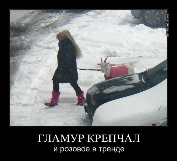 Демотиваторы (99 фото)