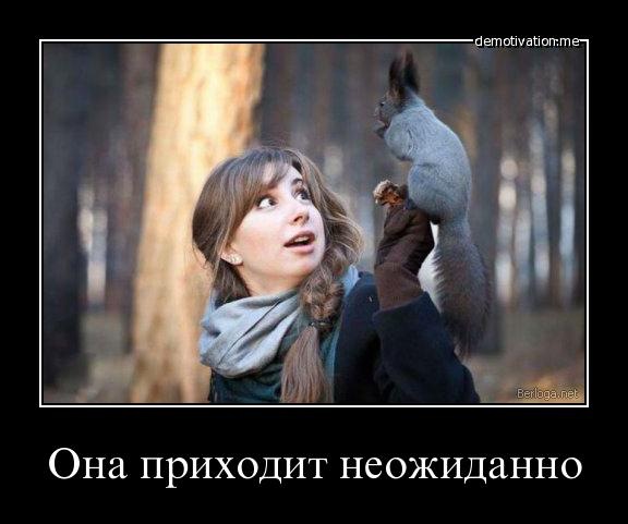 Демотиваторы (99 фото)