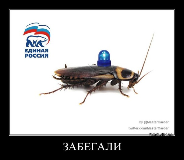 Демотиваторы (99 фото)