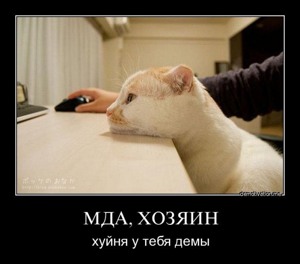 Демотиваторы (99 фото)
