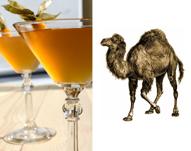 Несколько коктейлей для программистов Несколько коктейлей для программистов