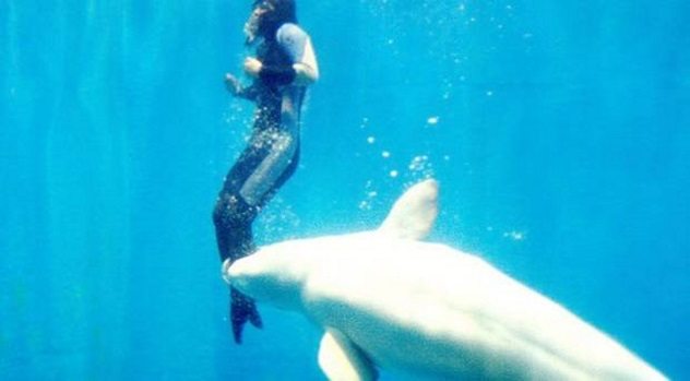 Животные, которые спасли от приближающейся смерти своих хозяев. Часть 1 Животные, которые спасли от приближающейся смерти своих хозяев. Часть 1