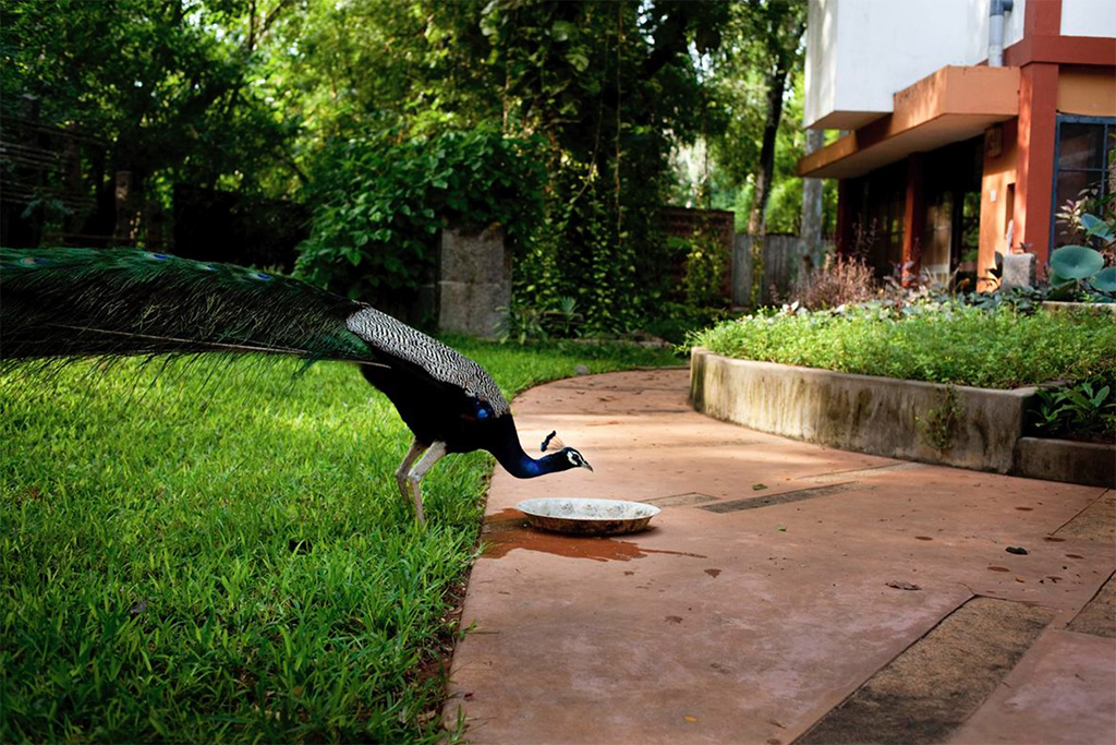 Город без политики, религии и национальности Город без политики, религии и национальности