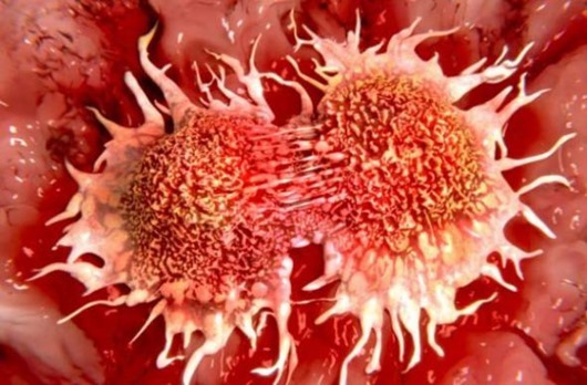 Поразительные парадоксы Вселенной Поразительные парадоксы Вселенной