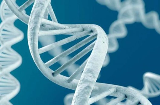 Поразительные парадоксы Вселенной Поразительные парадоксы Вселенной