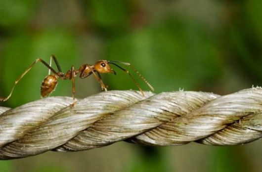 Поразительные парадоксы Вселенной Поразительные парадоксы Вселенной