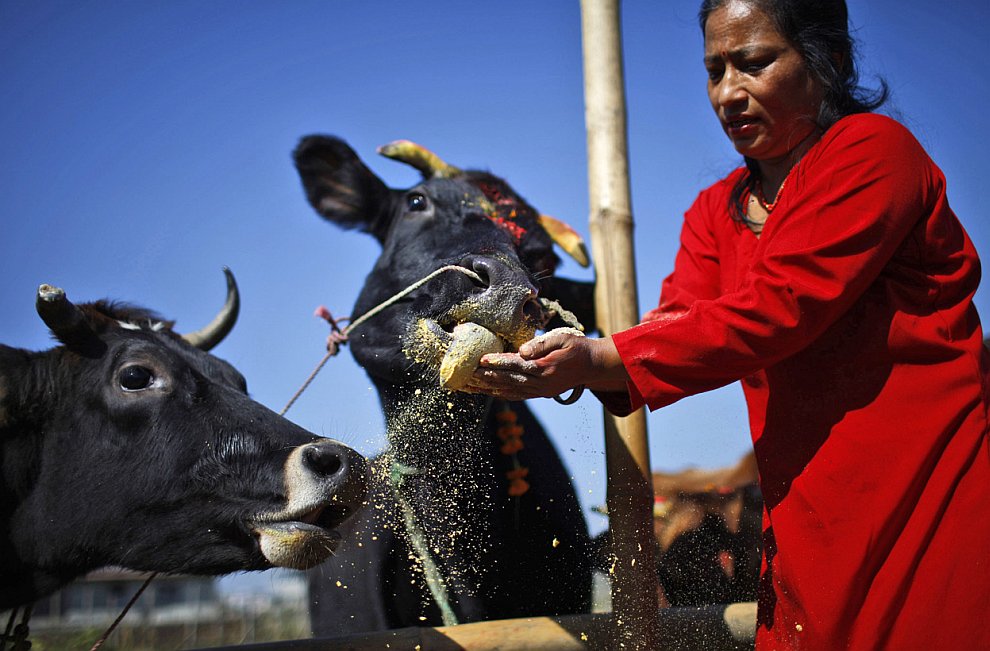 Фестиваль огней Дивали в Индии Фестиваль огней Дивали в Индии