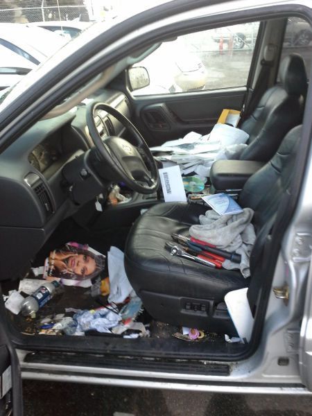 Прикольные картинки