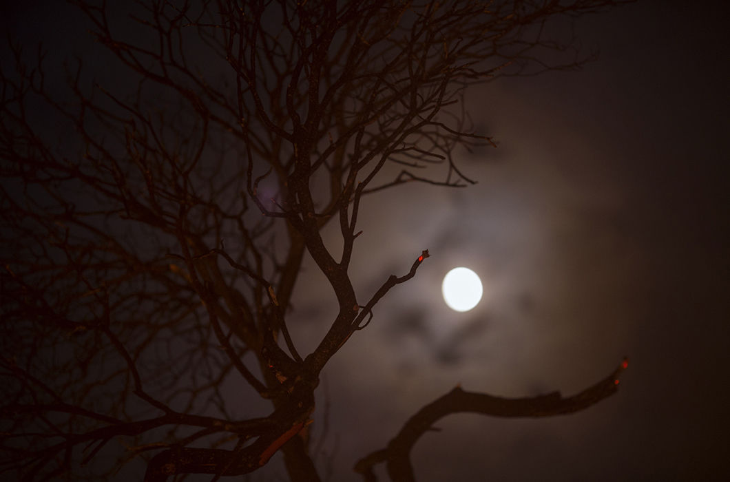 Разгул огненной стихии в США