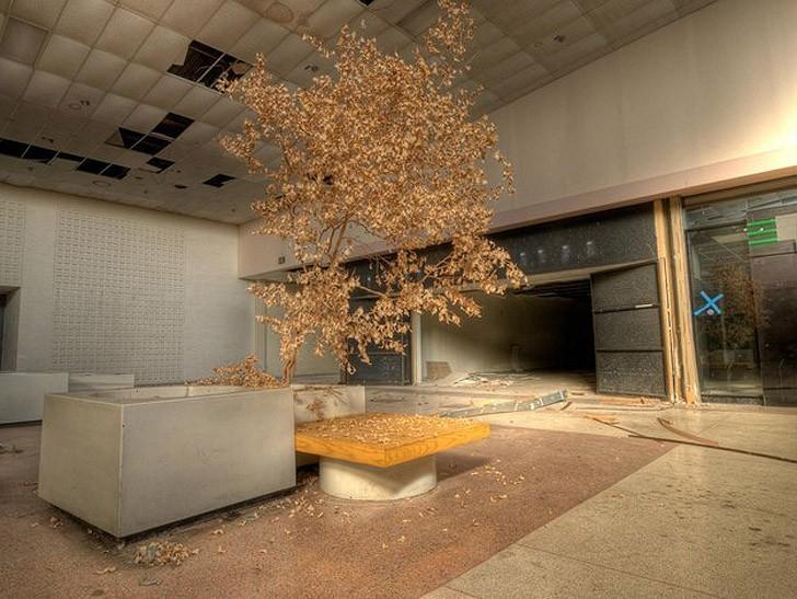 Путешествие по заброшенным мегамоллам США Путешествие по заброшенным мегамоллам США