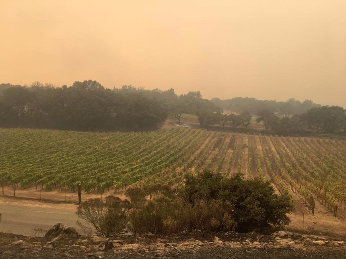 Калифорния до и после