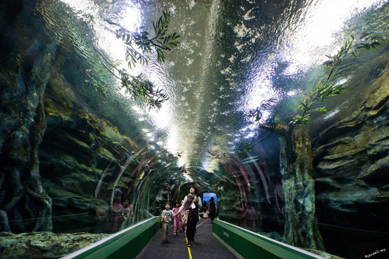 123-этажный небоскреб в Сеуле: взгляд изнутри 123-этажный небоскреб в Сеуле: взгляд изнутри