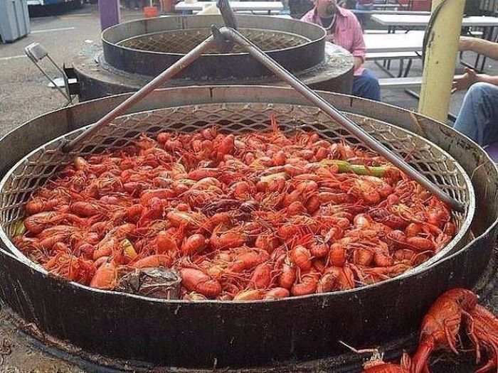 Фото, на которые приятно взглянуть