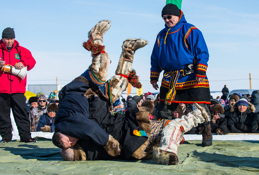 Путешествие по тундре и День оленевода Путешествие по тундре и День оленевода