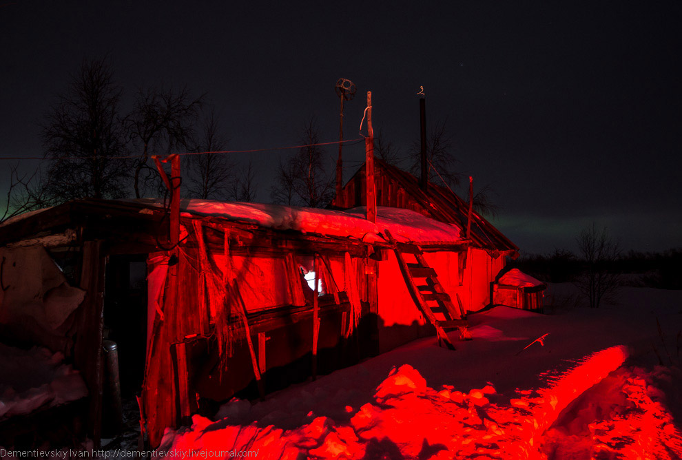 Путешествие по тундре и День оленевода Путешествие по тундре и День оленевода