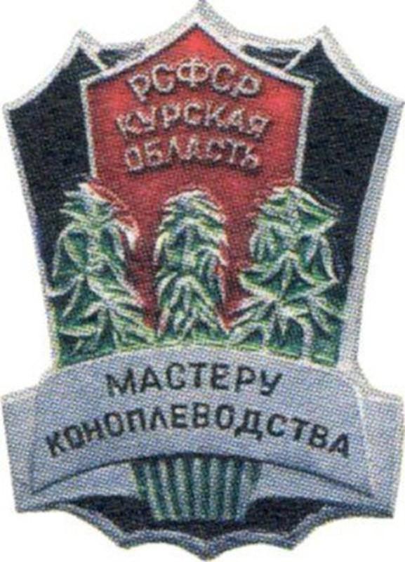 Воспоминания из СССР: что собирали дети Воспоминания из СССР: что собирали дети