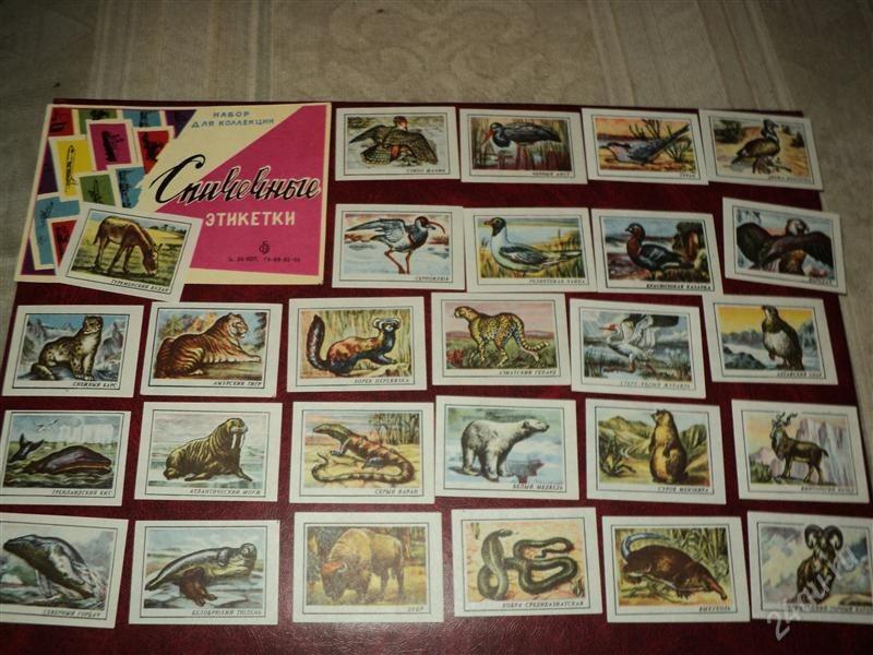 Воспоминания из СССР: что собирали дети Воспоминания из СССР: что собирали дети