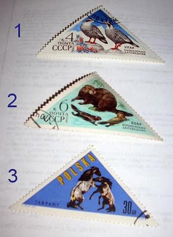 Воспоминания из СССР: что собирали дети Воспоминания из СССР: что собирали дети