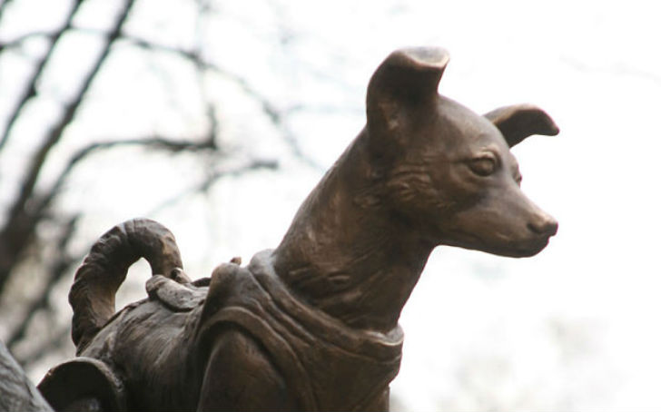 Россия глазами британцев Россия глазами британцев