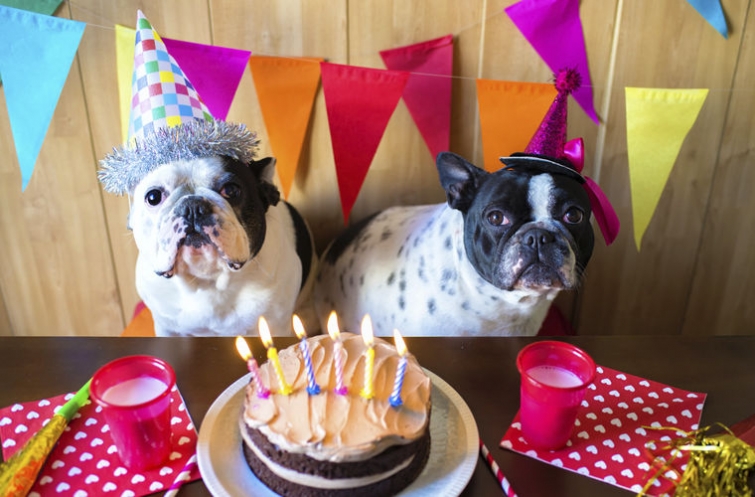 Национальные табу или чего нельзя делать в Бразилии Национальные табу или чего нельзя делать в Бразилии