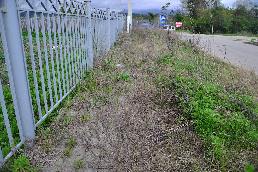 Призрак Олимпиады в Сочи