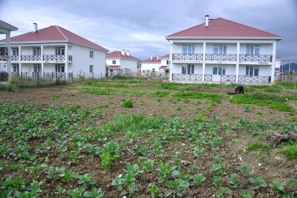 Призрак Олимпиады в Сочи