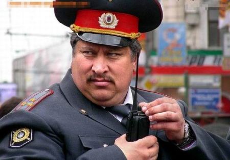 Неповиновение сотруднику милиции