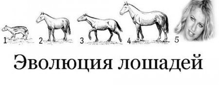 Прекольные картинки