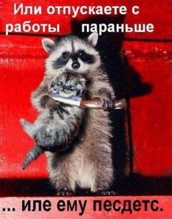 Прекольные картинки 2