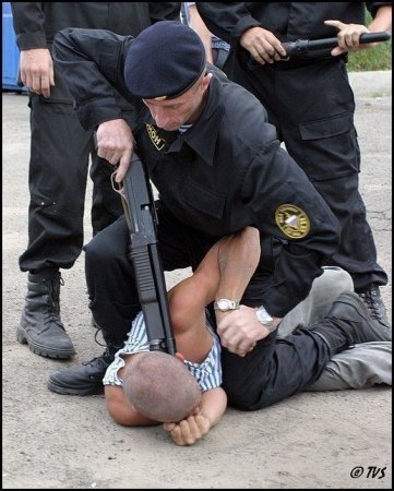 С днем милиции! (6 фотографий)