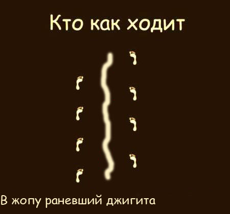 Кто как ходит?!