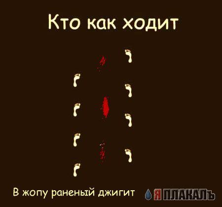 Кто как ходит?!