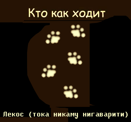 Кто как ходит?!