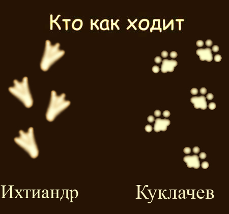 Кто как ходит?!