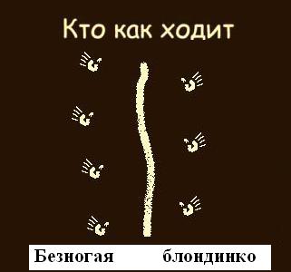 Кто как ходит?!