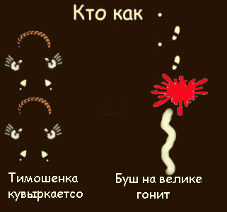 Кто как ходит?!