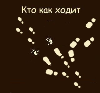 Кто как ходит?!