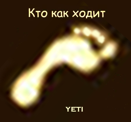 Кто как ходит?!