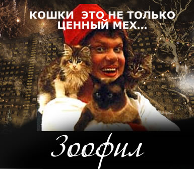 Фотожаба на плакат ?Ирония судьбы 2?