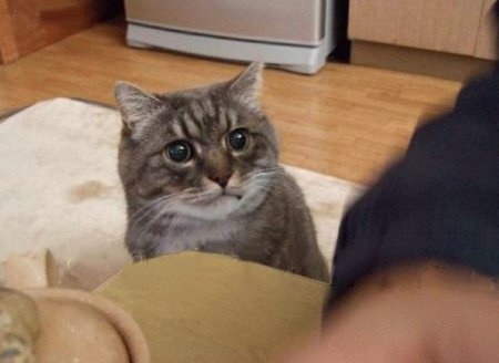 Что такое хорошо и что такое плохо